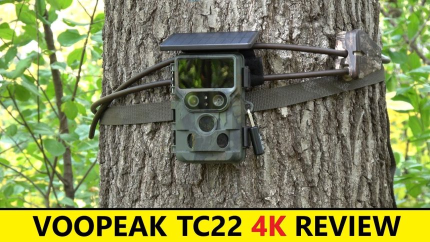 Why You Should Own a Trail Camera